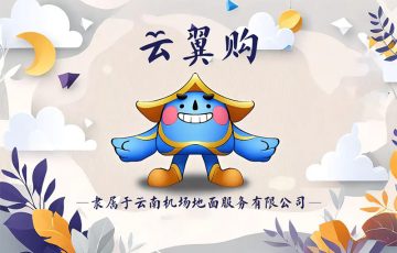 云翼GO商城（云南机场地面服务公司）-王哥(玩锅)博客